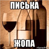 писька жопа