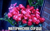  материнское сердце