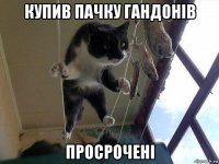 купив пачку гандонів просрочені