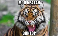 мой братан виктор