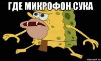 где микрофон сука 