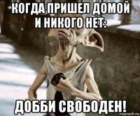 когда пришел домой и никого нет: добби свободен!