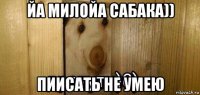 йа милойа сабака)) пиисать не умею