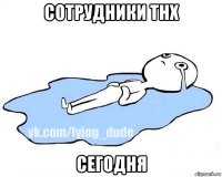 сотрудники тнх сегодня