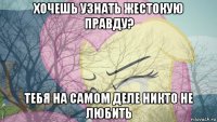 хочешь узнать жестокую правду? тебя на самом деле никто не любить
