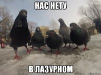 нас нету в лазурном