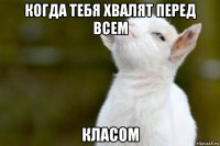 когда тебя хвалят перед всем класом