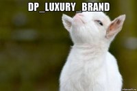 dp_luxury_brand 