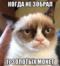 когда не зобрал 17 золотых монет