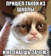 пришёл такой из школы и не знаешь зачем?