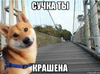 сучка ты крашена