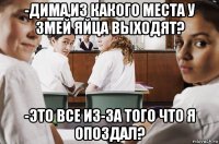 -дима,из какого места у змей яйца выходят? -это все из-за того что я опоздал?