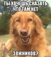 ты хочешь сказать что там нет зожников?