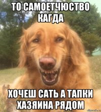 то самоетчюство кагда хочеш сать а тапки хазяина рядом