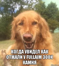  когда увидел как отжали у fullaim 300к камня