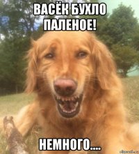 васёк бухло паленое! немного....