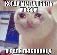 когда мечтал быть мафом а дали любовницу