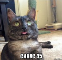  синус 45