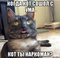 когда кот сошол с ума кот ты наркоман?