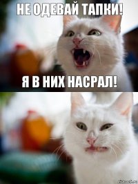 Не одевай тапки! Я в них насрал!