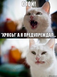 Стой! *Хрясь!* А я предупреждал...