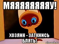 мяяяяяяяяу! хозяин - заткнись блять!