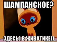 шампанское? здесь) в животике))