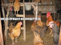 когда пришел на концертEXO  когда пришел на концерт EXO   