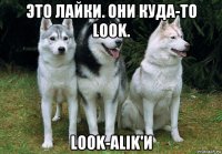 это лайки. они куда-то look. look-alik'и