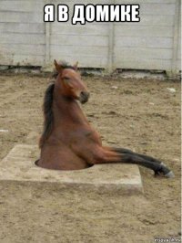 я в домике 