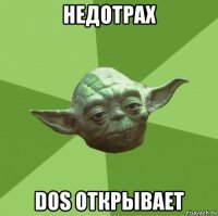 недотрах dоs открывает