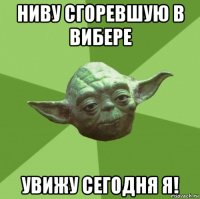 ниву сгоревшую в вибере увижу сегодня я!