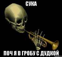 сука поч я в гробу с дудкой