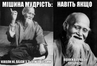 мішина мудрість: ніколи не лахай з тьоли з вусами навіть якщо вони й в правду прекрасні