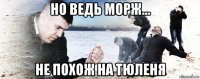 но ведь морж... не похож на тюленя