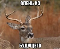 олень из будущего