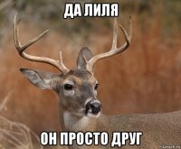 да лиля он просто друг