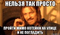 нельзя так просто пройти мимо котейки на улице и не погладить