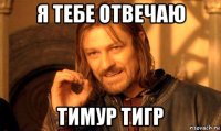 я тебе отвечаю тимур тигр