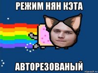 режим нян кэта авторезованый