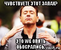 чувствуете этот запах? это wg опять обосрались.