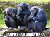  капризная шава ника