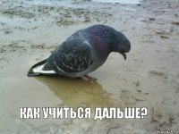 Как учиться дальше?