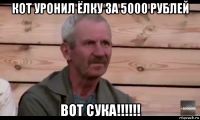 кот уронил ёлку за 5000 рублей вот сука!!!!!!
