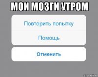 мои мозги утром 