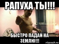 рапуха ты!!! быстро падай на землю!!!