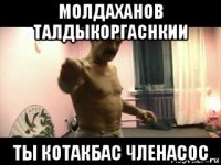 молдаханов талдыкоргаснкии ты котакбас членасос