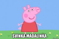  svinka madalinka