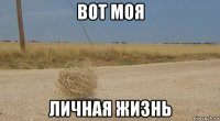вот моя личная жизнь