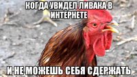 когда увидел ливака в интернете и не можешь себя сдержать